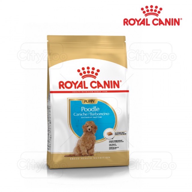 HẠT ROYAL CANIN POODLE PUPPY 500G