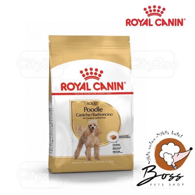 Royal Canin Poodle Adult 500G